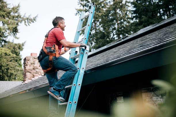 Best Roof Maintenance and Cleaning  in Indian Harbour Beach, FL